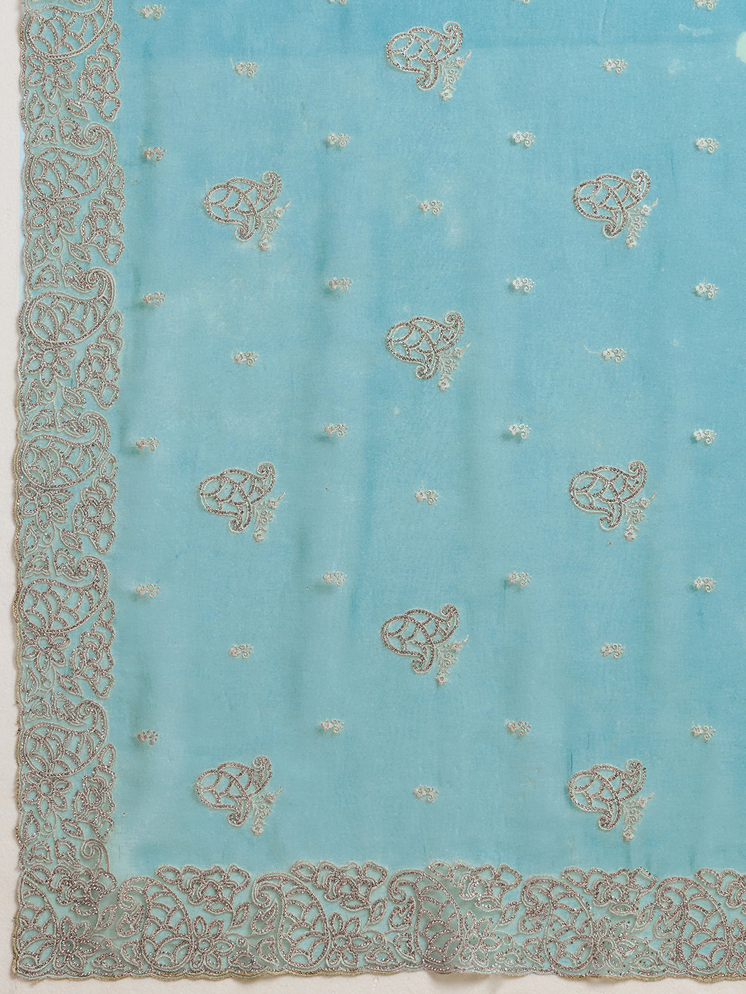 Sky Blue Net Saree with Silver Floral Paisley Embroidery